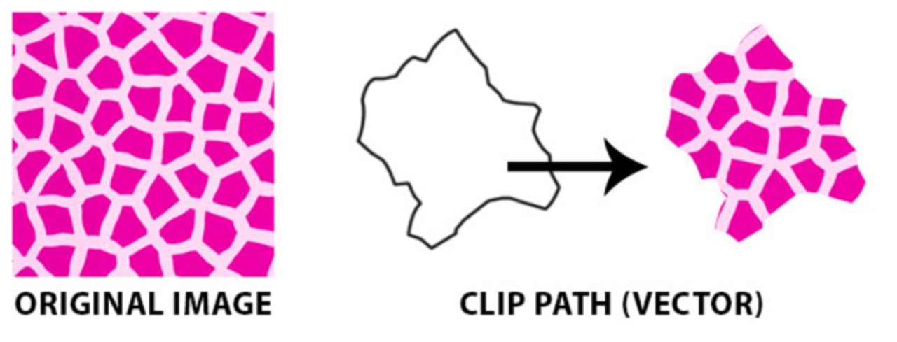 Svg clip path